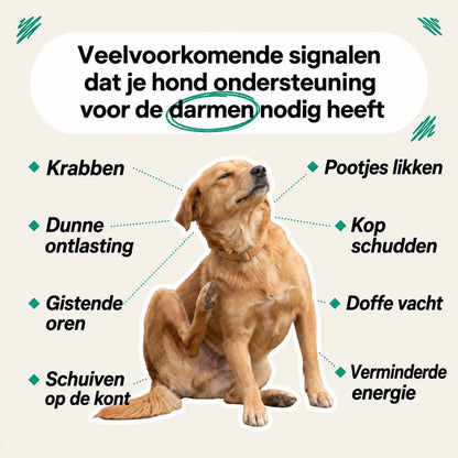 Oriva™ | Oregano Druppels voor Honden