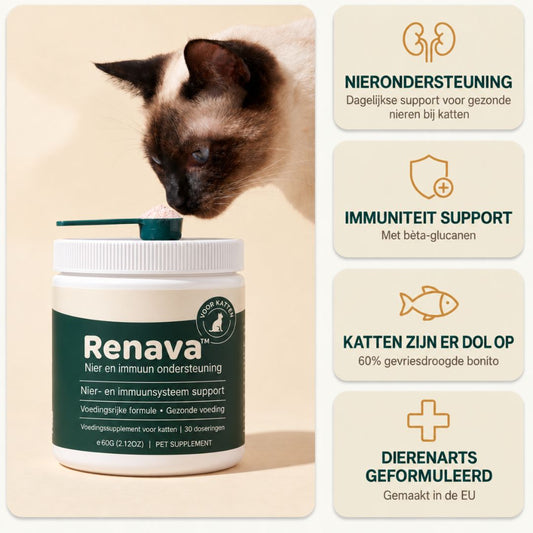 Renava™ | Nierondersteuning voor Katten