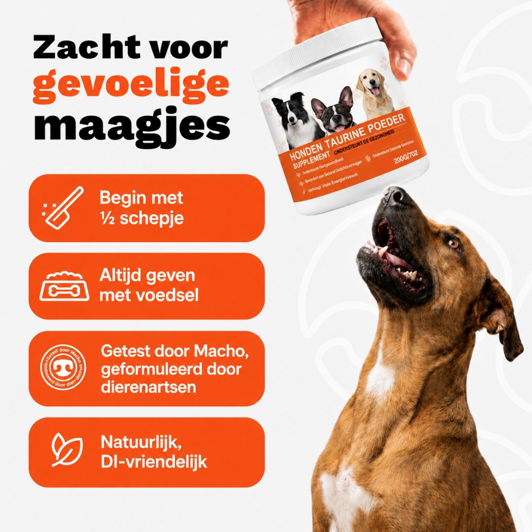Caniva™ | Gewrichtspoeder voor Honden