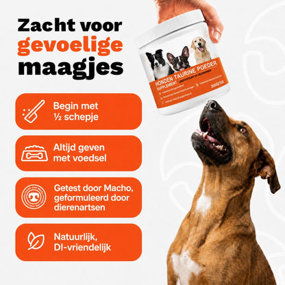 Caniva™ | Gewrichtspoeder voor Honden