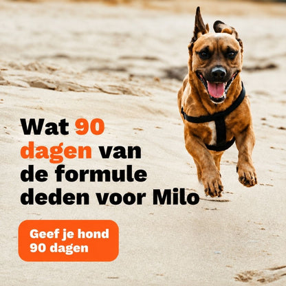 Caniva™ | Gewrichtspoeder voor Honden