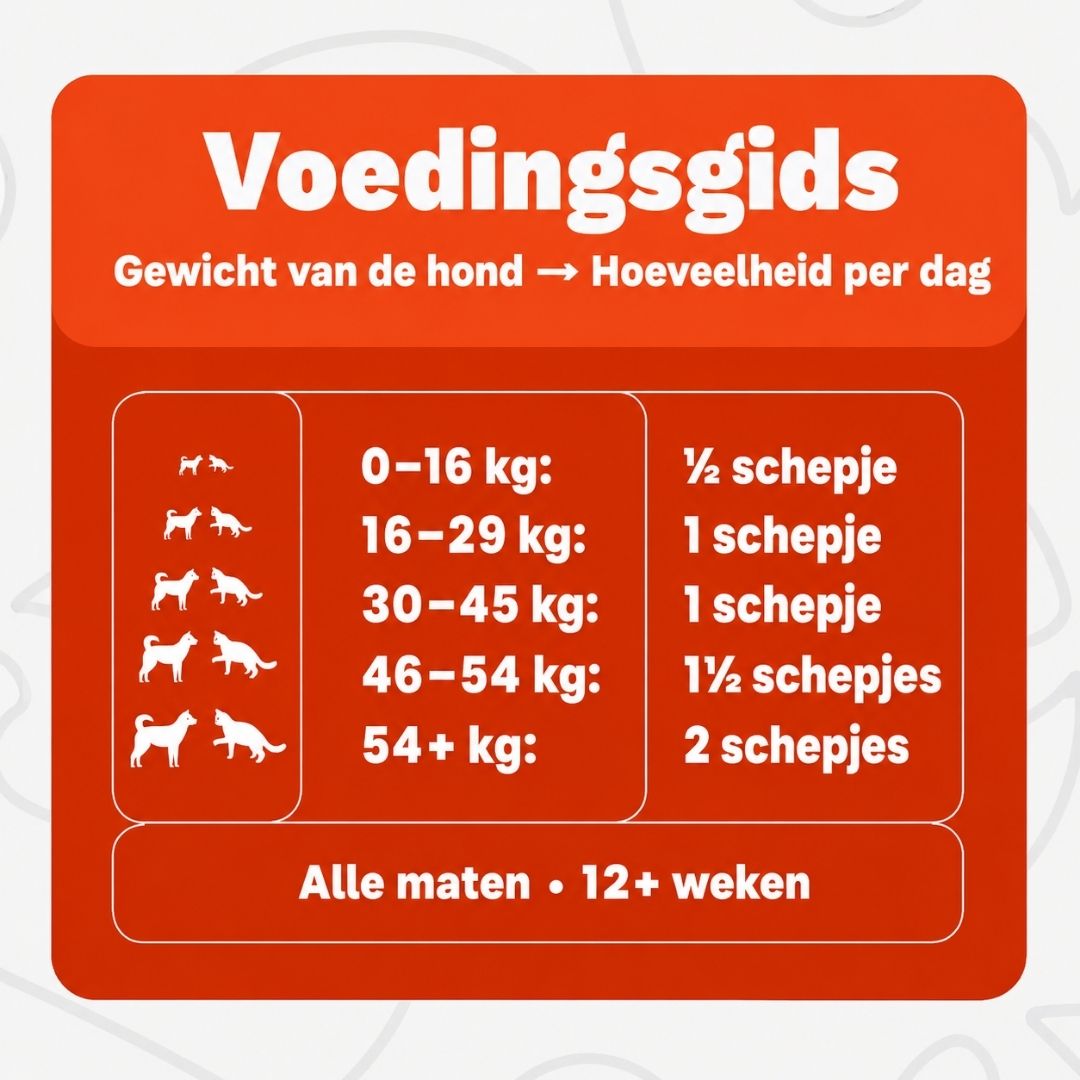 Caniva™ | Gewrichtspoeder voor Honden