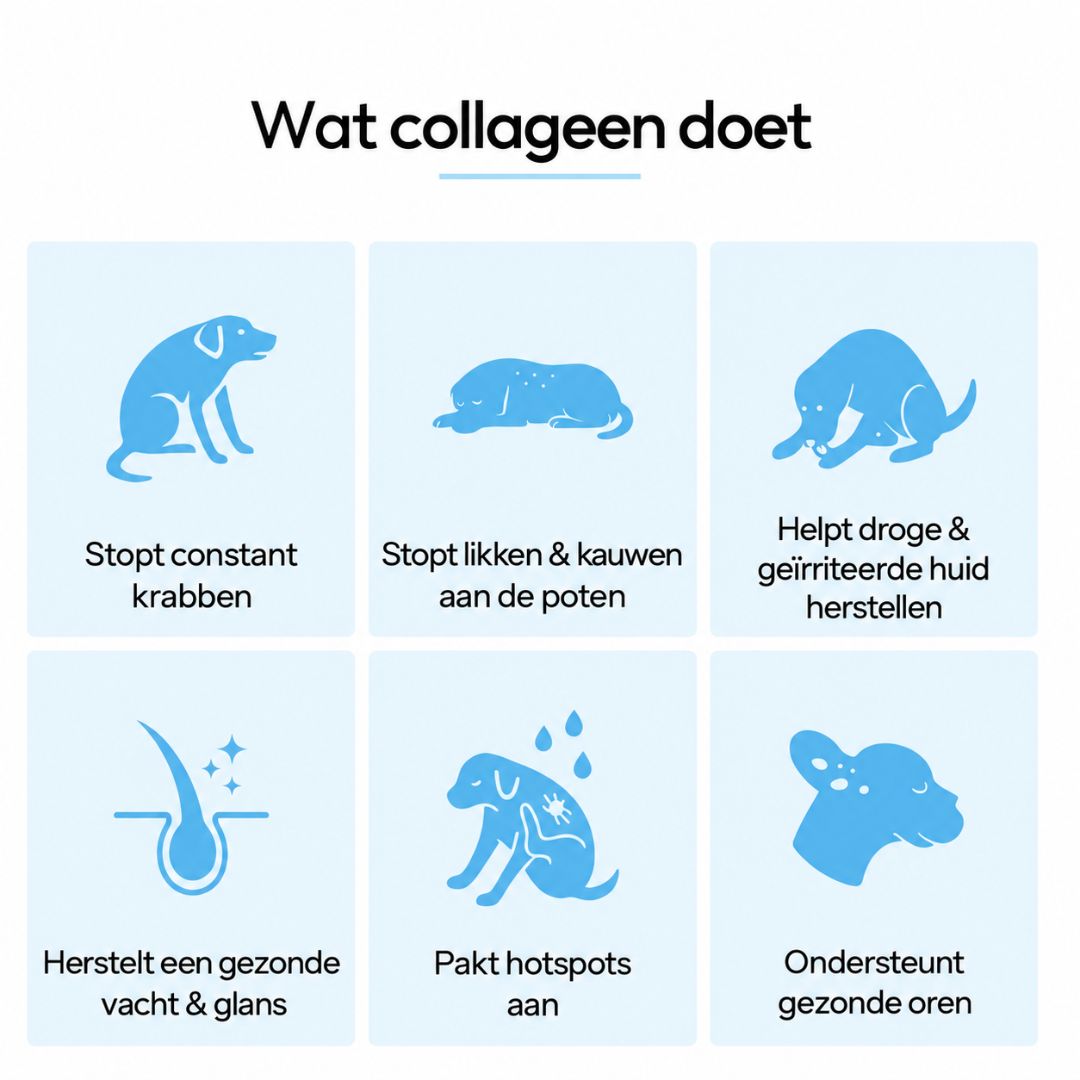 Dermiva™ | Vloeibaar Collageen voor Honden