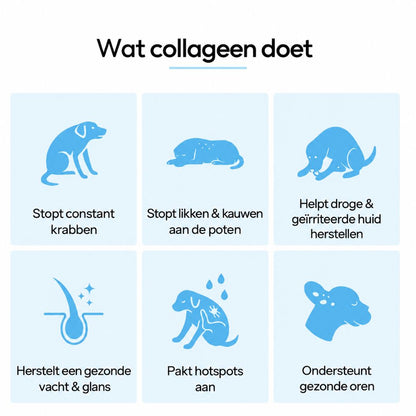 Dermiva™ | Vloeibaar Collageen voor Honden
